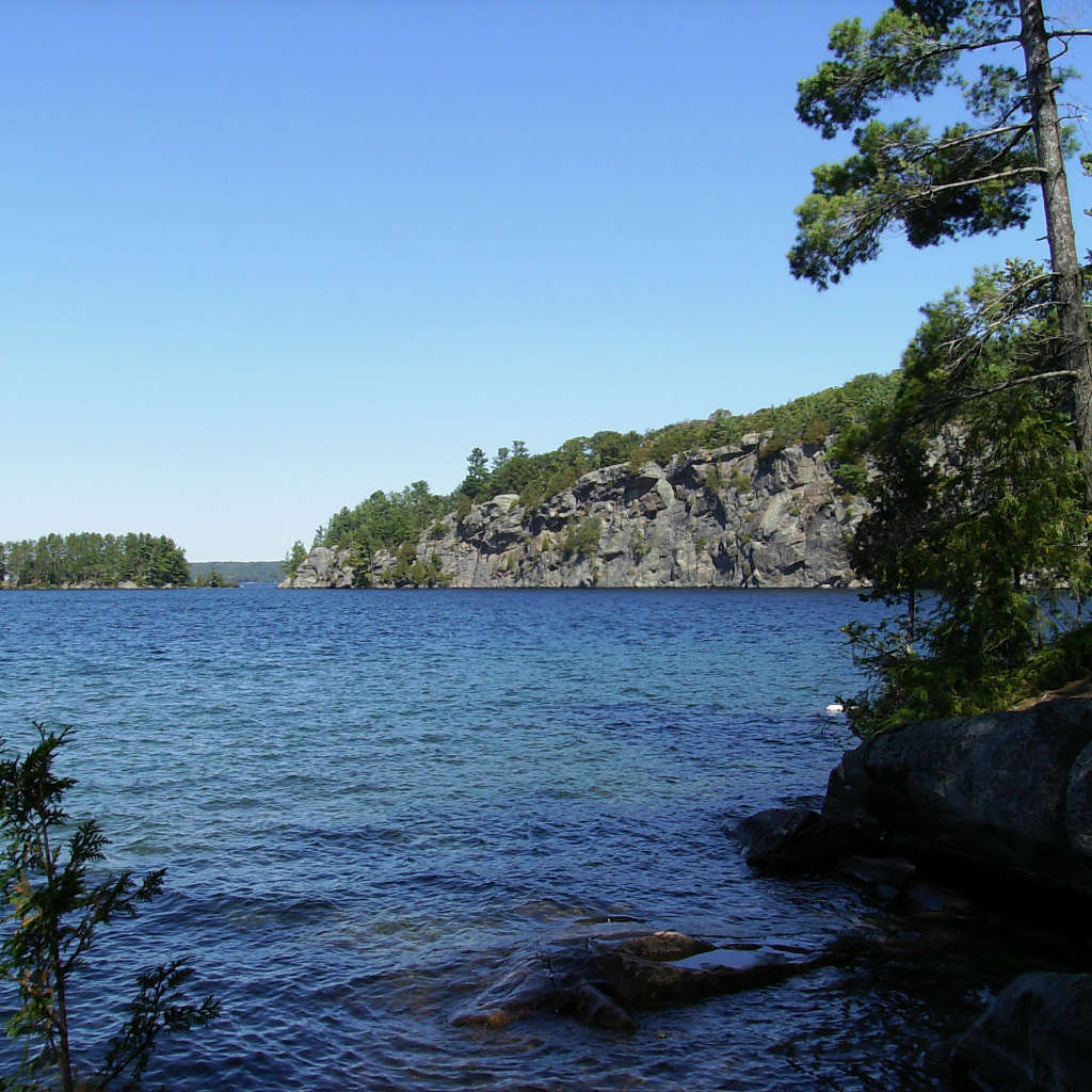 Image of shoreline with tree in foreground and sheer rock cliff in background.